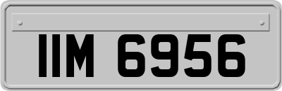 IIM6956