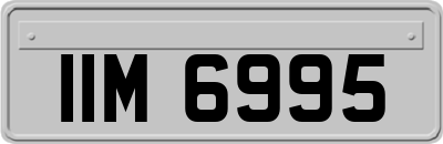 IIM6995