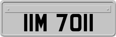 IIM7011