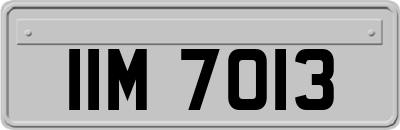 IIM7013