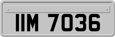 IIM7036