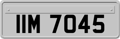 IIM7045