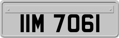 IIM7061