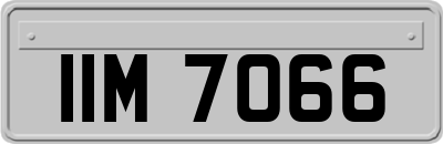 IIM7066
