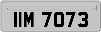 IIM7073