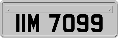 IIM7099