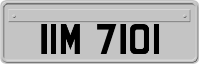IIM7101