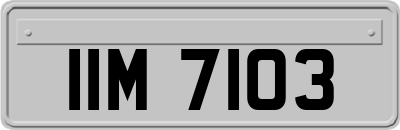 IIM7103