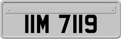IIM7119