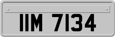 IIM7134