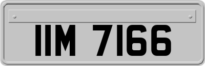 IIM7166