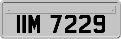 IIM7229