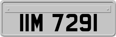 IIM7291