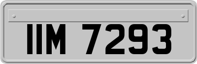 IIM7293