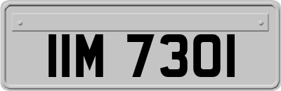IIM7301
