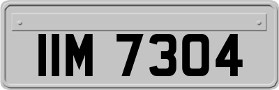 IIM7304
