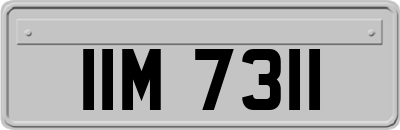 IIM7311