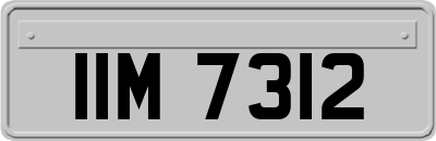 IIM7312