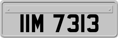 IIM7313