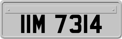 IIM7314