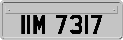 IIM7317