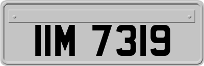 IIM7319
