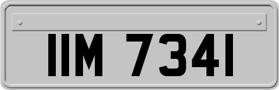 IIM7341