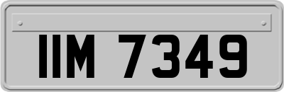IIM7349