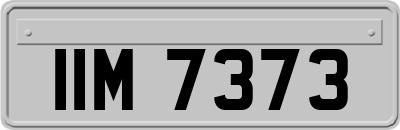 IIM7373