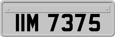 IIM7375