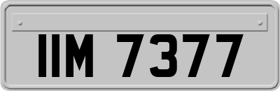 IIM7377