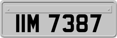 IIM7387