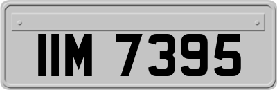 IIM7395
