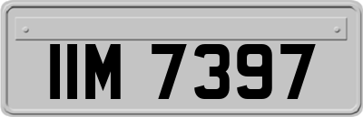 IIM7397