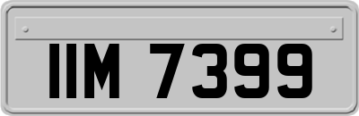 IIM7399