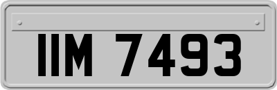IIM7493