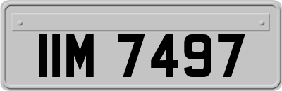 IIM7497
