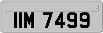 IIM7499