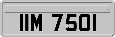 IIM7501