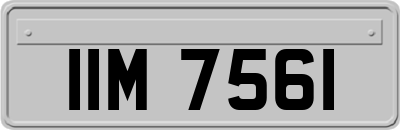 IIM7561