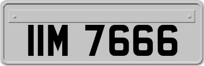 IIM7666