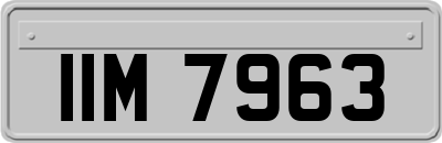 IIM7963
