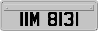IIM8131