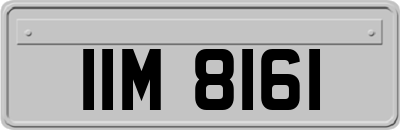 IIM8161
