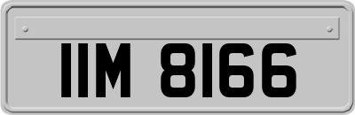 IIM8166