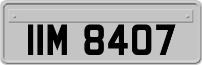 IIM8407