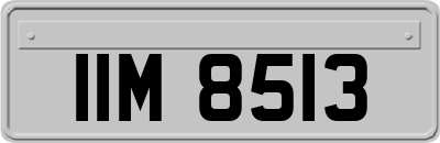 IIM8513