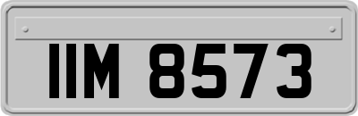 IIM8573