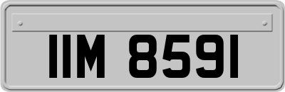 IIM8591