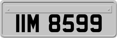 IIM8599